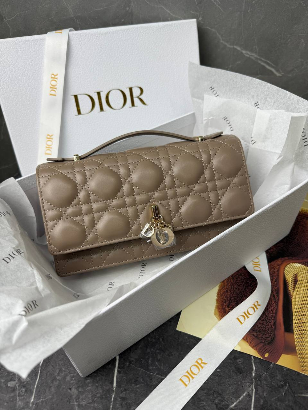 Сумка Christian Dior