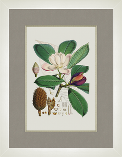 Картина 042 (X)