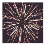 Батарея салютов Русский Фейерверк Шампусик P7282, 25 залпов, разноцветный 12.5 см 13 см