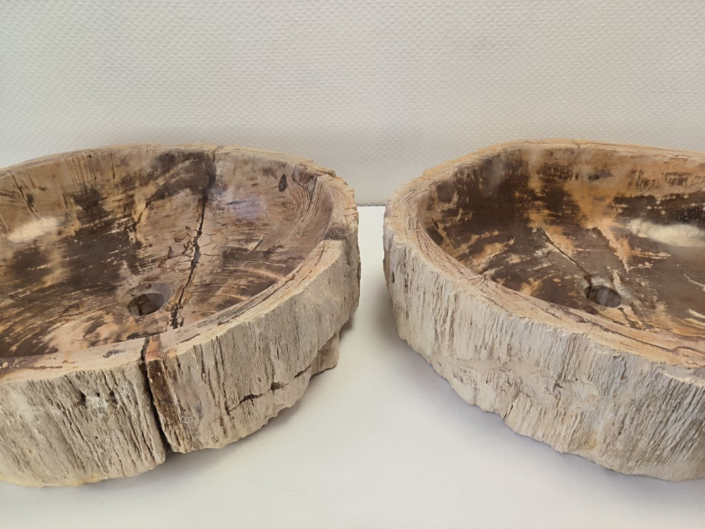 Раковина из окаменелого дерева OD-62102 56*47*15