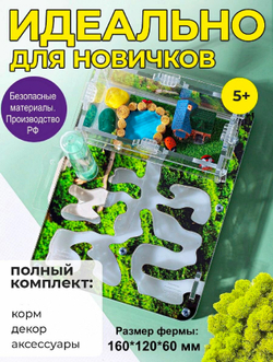 Муравьиная ферма с муравьями в подарок «Стартовая Мох»