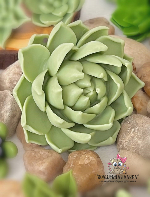Силиконовая форма Суккулент