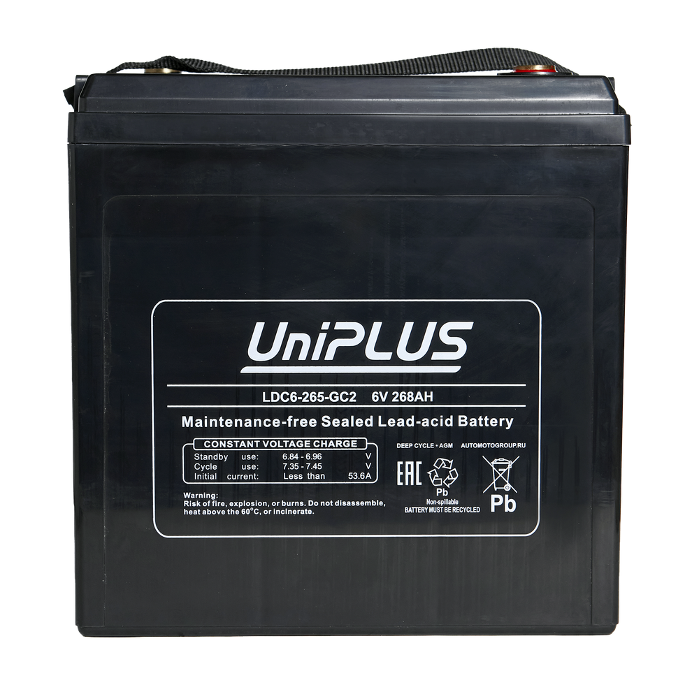 Тяговый аккумулятор LEOCH UniPLUS LDC6-265-GC2