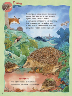 Кто живёт на опушке? Книжка-активити с развивающими заданиями, головоломками, наклейками. Фридерун Райхенштеттер