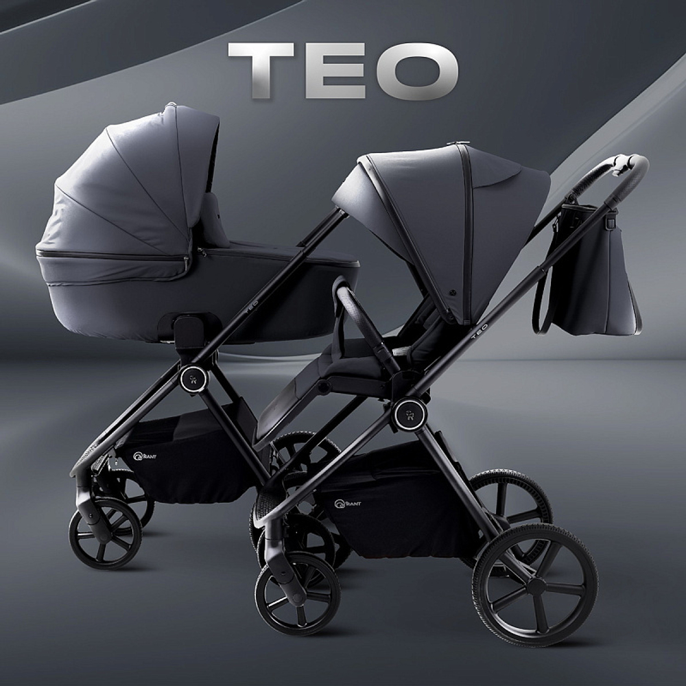 Детская коляска Rant Teo 3 в 1 Graphite