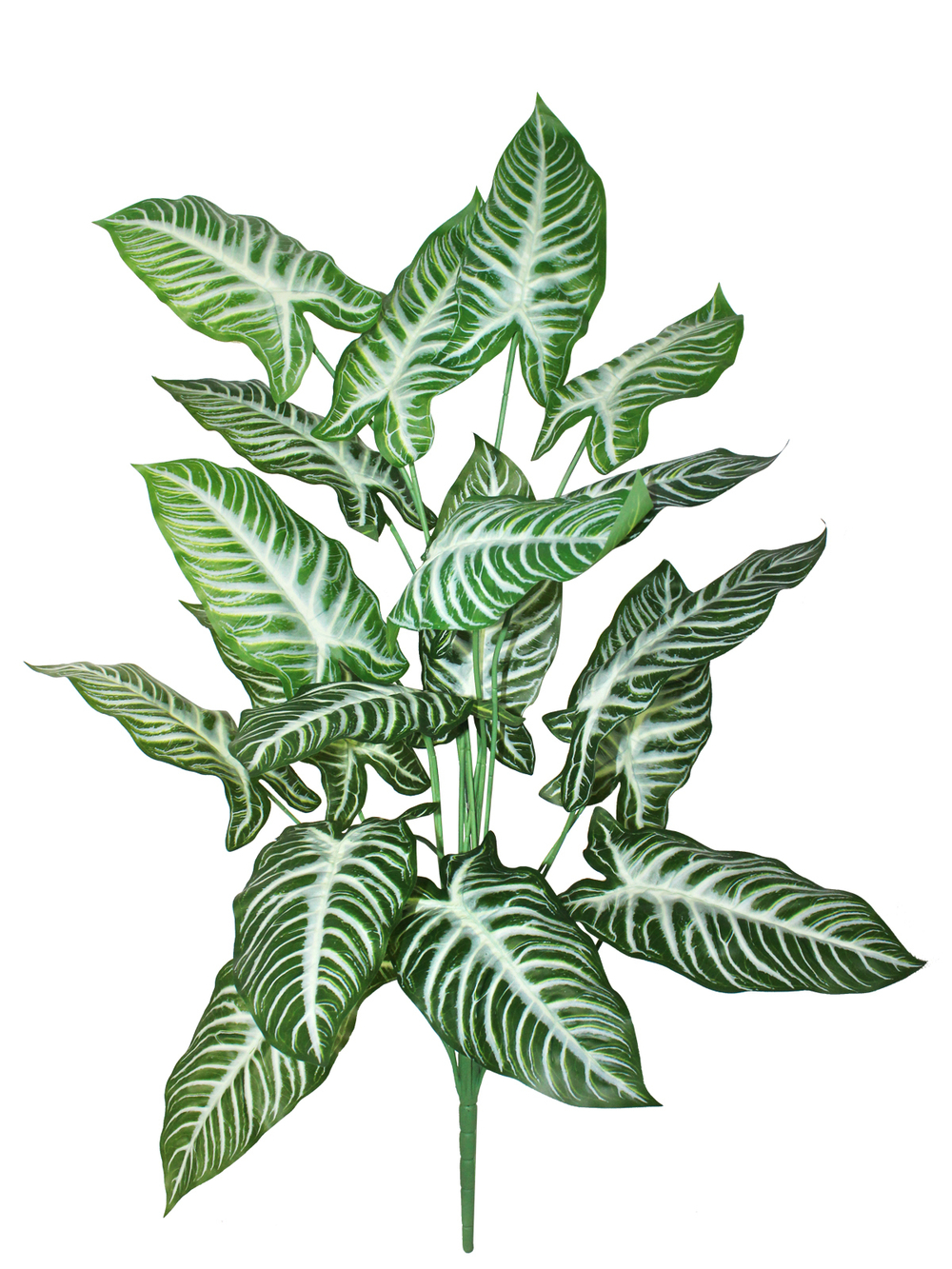 Искусственное растение Алоказия Линдена 100см