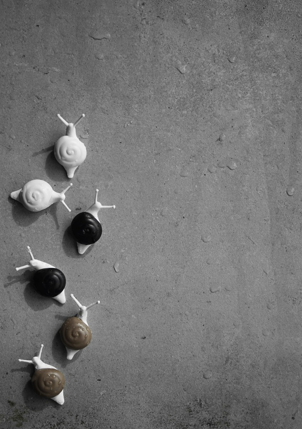 Магниты Snail, 6 шт. Qualy