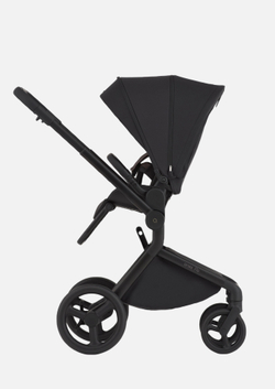 Anex Детская коляска Flo 2 в 1 Lungo