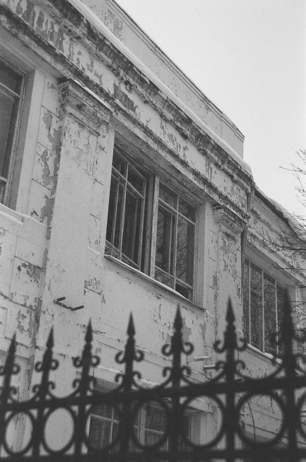 Фотопленка FOMAPAN Action iso 400 (36)