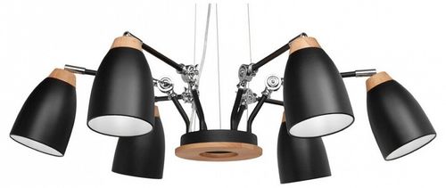 Подвесная люстра Loft it LOFT4402/6BL