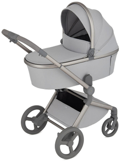 Детская коляска Anex Flo 2 в 1 Frossy