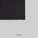  Футболка мужская Dickies Plentywood артикул:DK0A866BH861 - купить в магазине Дайс