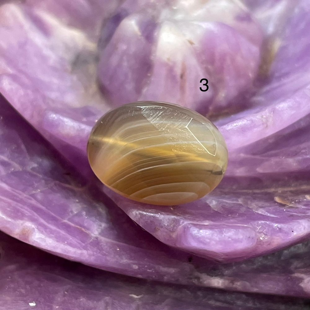 54645  Агат Ботсвана Бусина овал 10*14мм огр