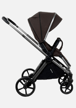 Pituso Коляска 2 в 1 Teffy Turkish Coffee/Graphite