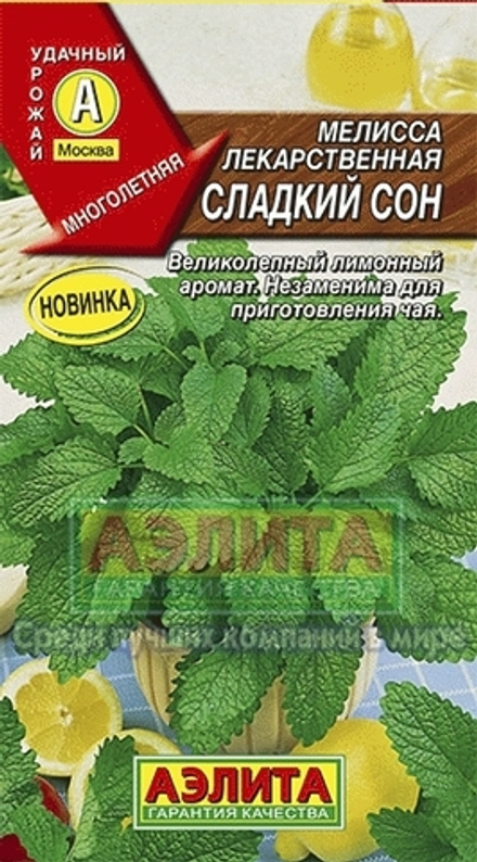 Мелисса Сладкий сон лекарственная Аэлита