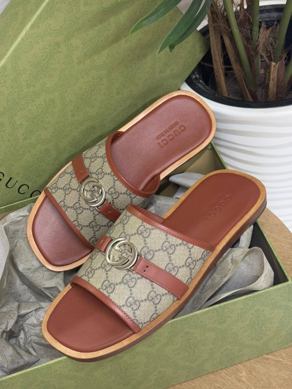 Шлепанцы Gucci