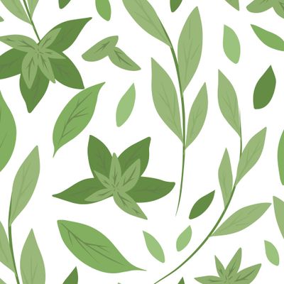 Мятная листва на белом фоне