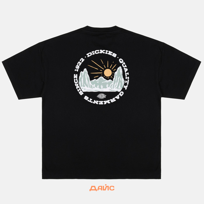 Футболка мужская Dickies Outdoor артикул:DK0A4Z8PBLK1 - купить в магазине Дайс