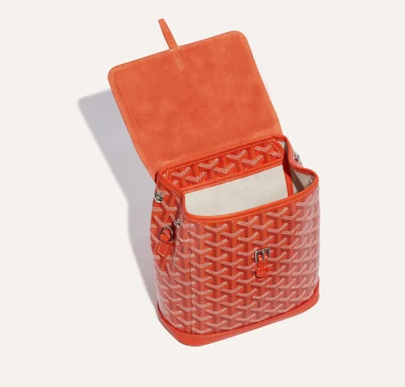 Рюкзак GOYARD Alpin Mini, оранжевый