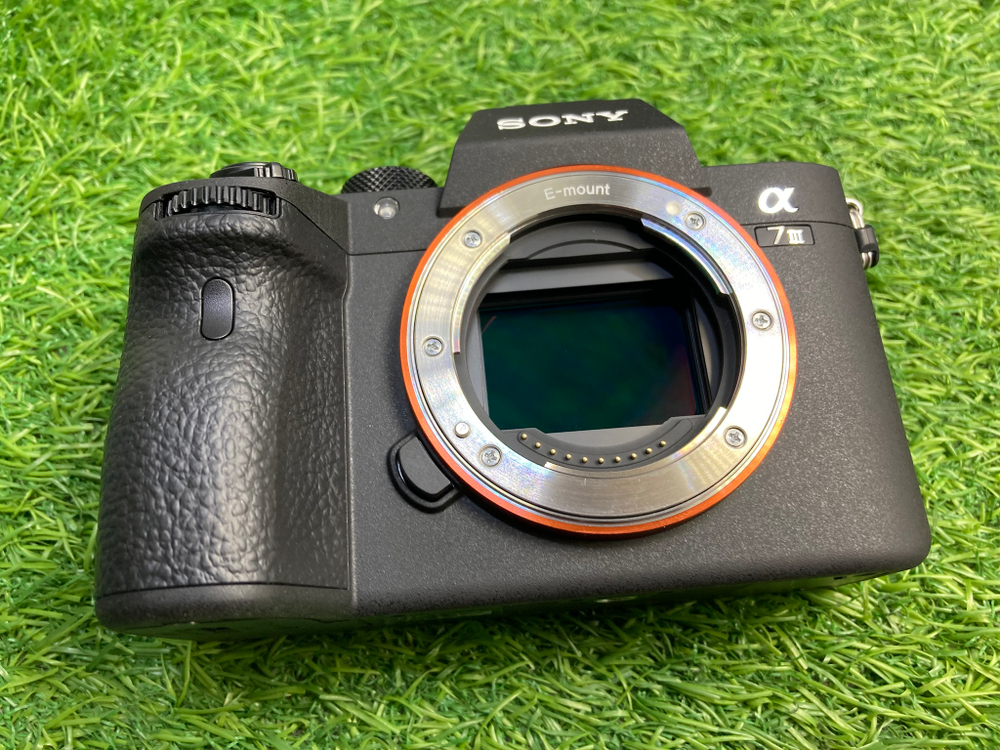 Sony A7 III (10 кадров)