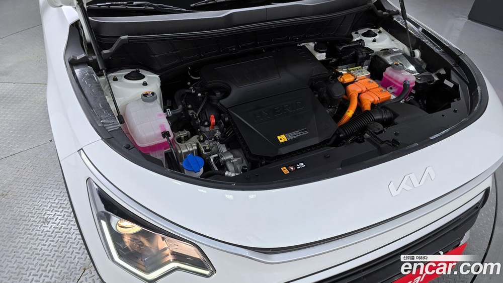 Kia The All New Niro Trendy (05.2023)
