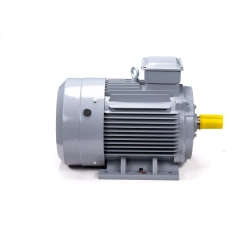 Электродвигатель ESQ PR 280 S4 GST-Б1-S12-IE2 110/1500 IM1001