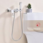 Гигиенический душ со смесителем Raglo R51.51, хром