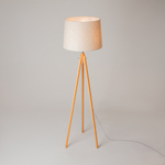 Напольный светильник (торшер) Maytoni Z177-FL-01-BR