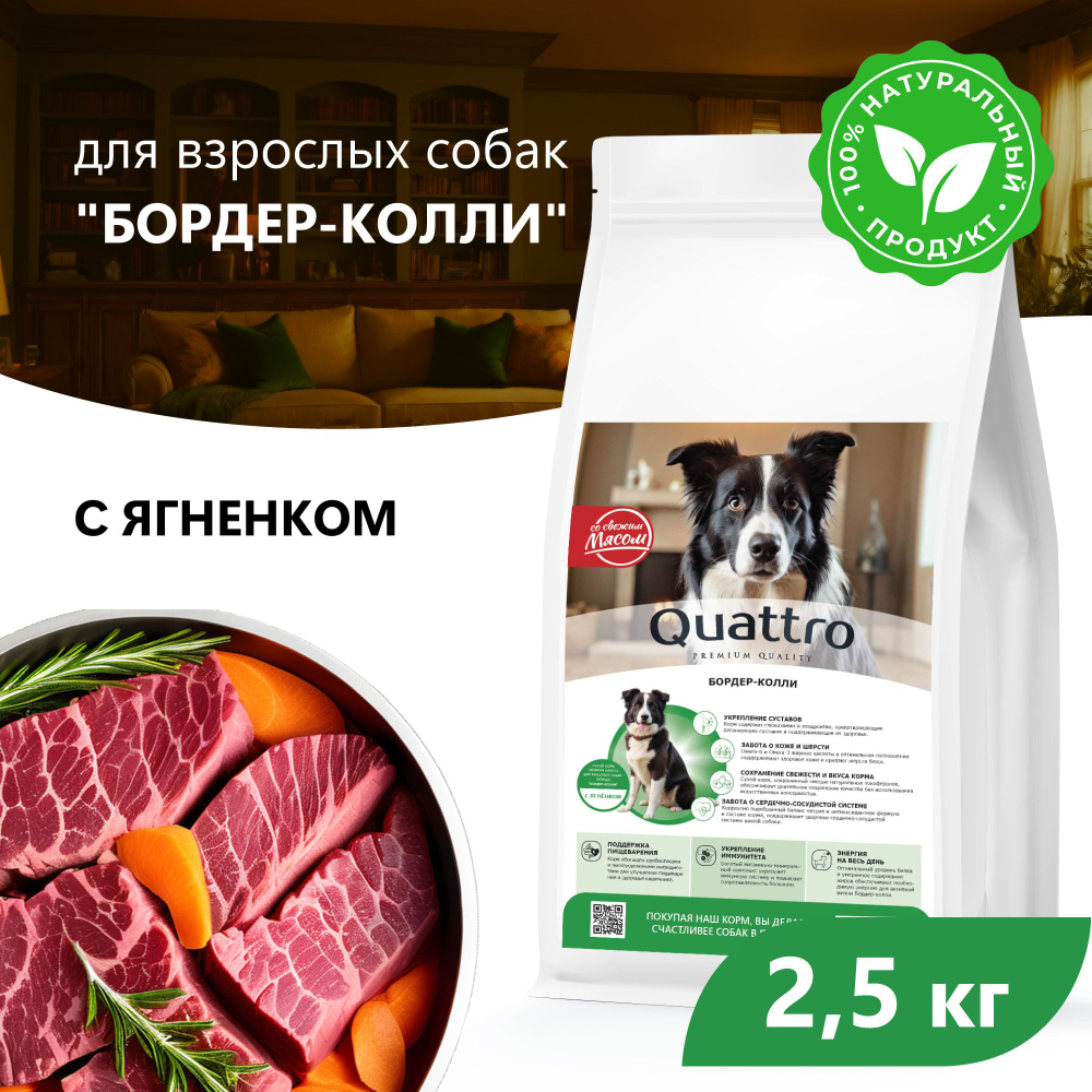 Корм сухой для взрослых собак породы Бордер-колли, с ягненком, 2.5 кг, QUATTRO