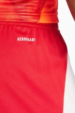 Шорты adidas Tiro 24 Training