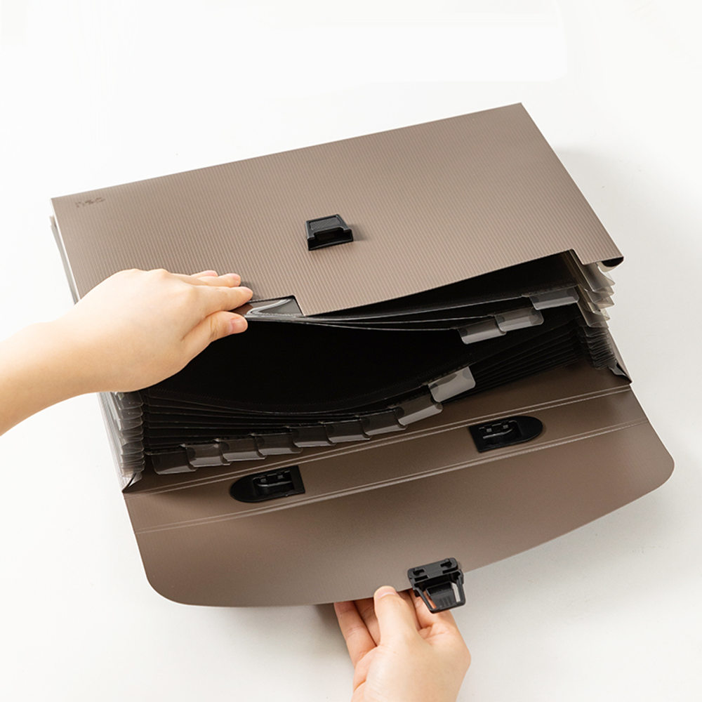 Папка-портфель DELI, А4, 13 отделений, 0,75 мм,  ассорти