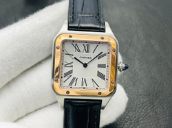 Cartier Santos-Dumont Watch