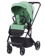 Прогулочная коляска Carrello Alfa 2023