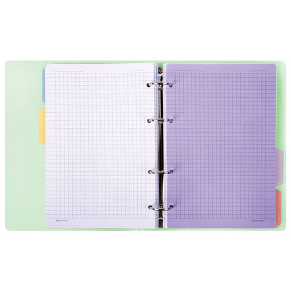 Тетрадь на кольцах А5 175х220 мм, 120 л., пластик, с резинкой и разделителями, BRAUBERG, Зеленый, 404632