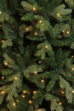 Сосна Изумрудная 600см 2072 лампы зеленая Triumph Tree