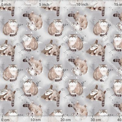 кот манул на сером фоне by E.KK8 405 DPI