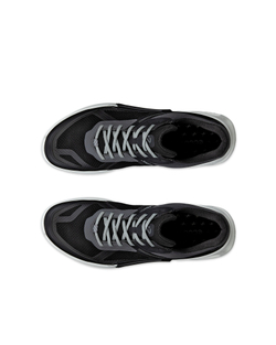 Кроссовки мужские ECCO BIOM 2.1 X MOUNTAIN M