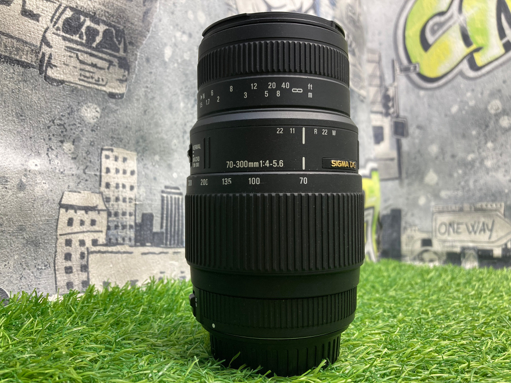 Sigma AF 70-300mm 4-5.6 APO Macro DG