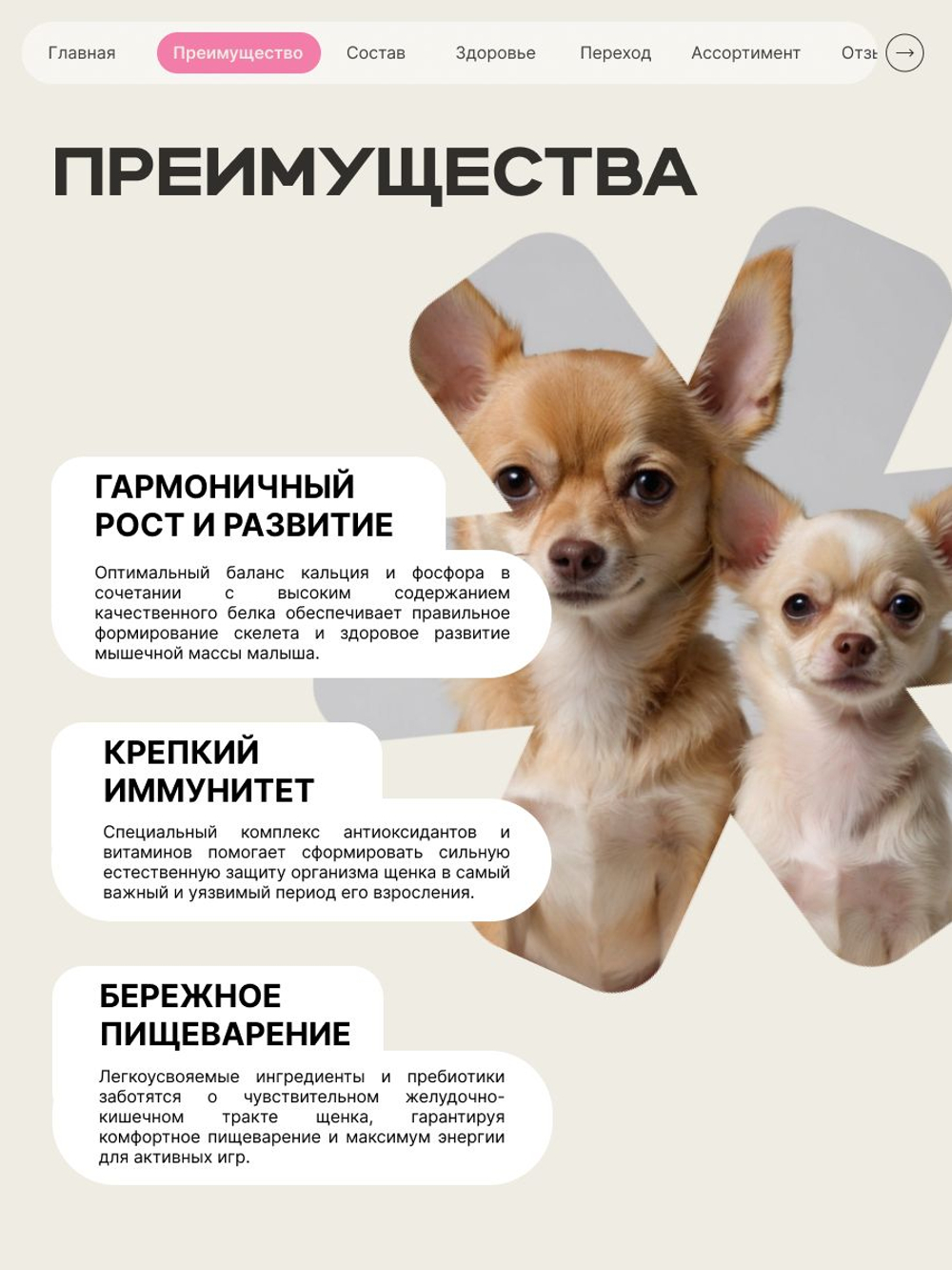 Корм сухой для щенков породы Немецкая овчарка, с говядиной, 12 кг, QUATTRO