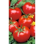 Семена Томат Геркулес (Марс) Б/П
