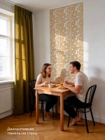 Ширма перегородка для зонирования