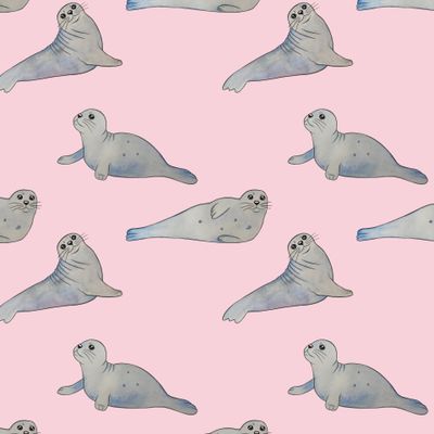 милые акварельные тюлени на розовом фоне