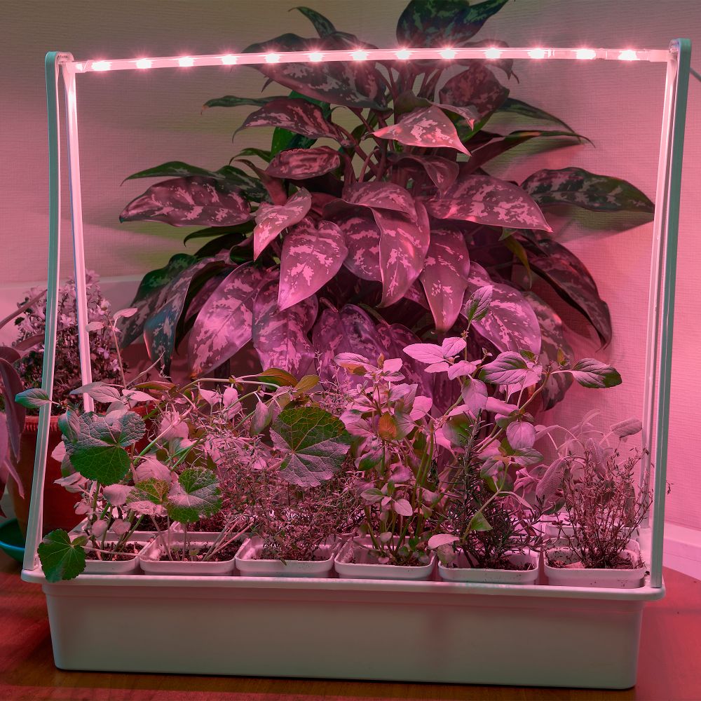 ULT-P34N-10W-SPSB IP65 WHITE 12 Набор Минисад. светильник для растений светодиодный с подставкой. Спектр для рассады и цветения. 12 кашпо в-к. белые. TM ФитоЛето