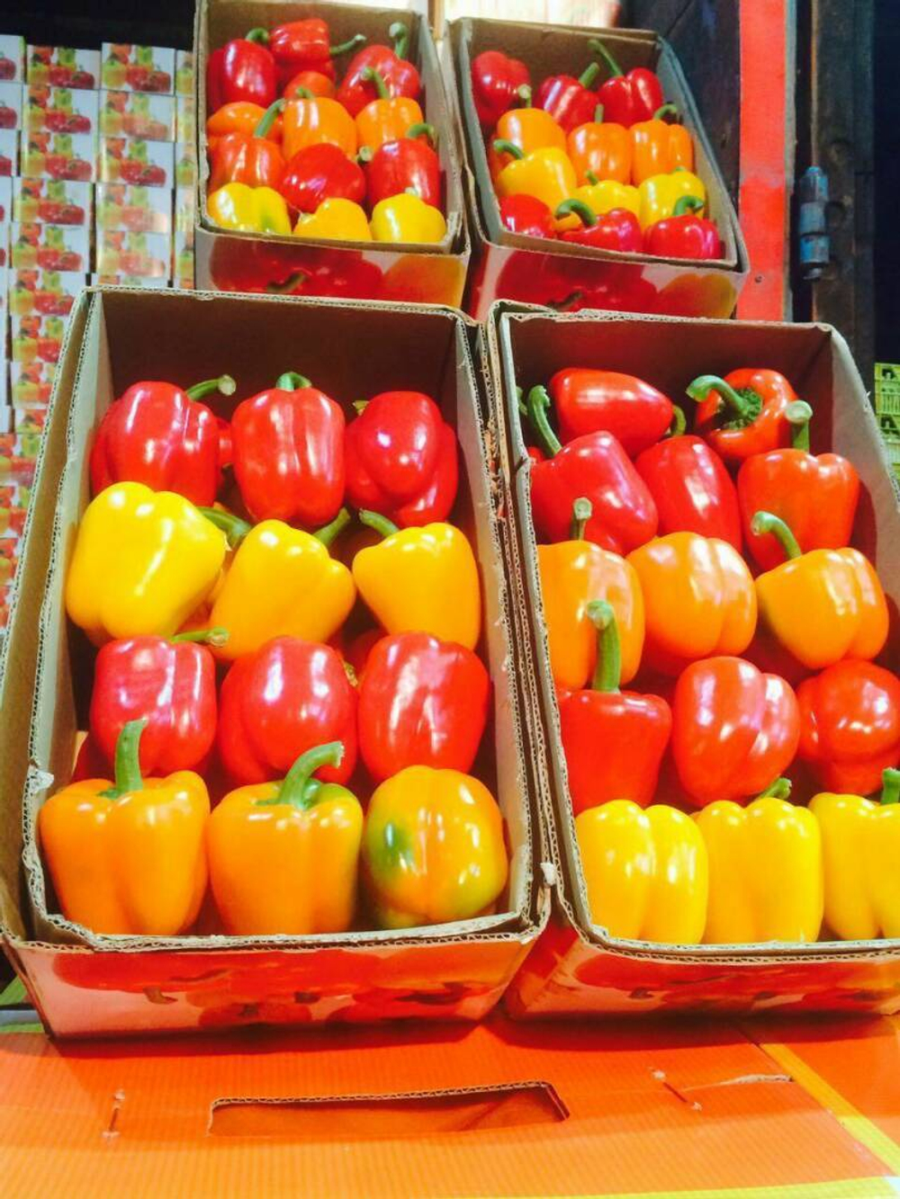 болгарский красный перец. зеленый перец, желтый перец- Египет