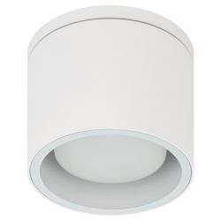 Светильник настенно-потолочный спот ЭРА WL40 WH GX53, белый, IP54