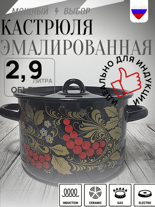 Кастрюля 2,9л с рисунком Рябина черн 1с16с
