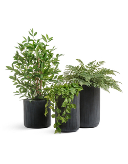 Кашпо TREEZ ERGO - серия Jet - Цилиндр - Антрацит