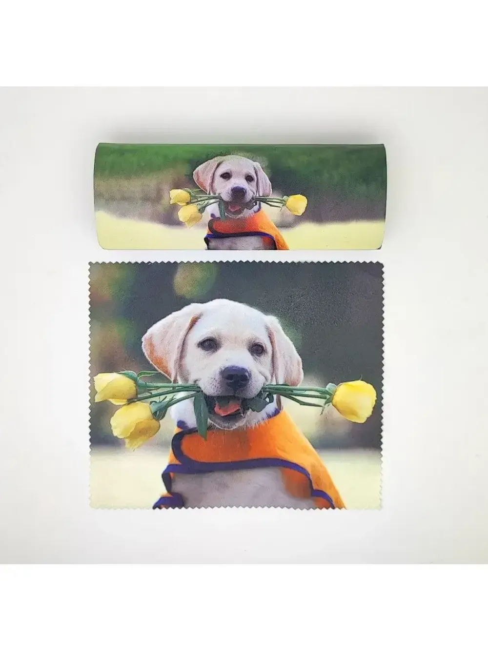 Футляр для очков