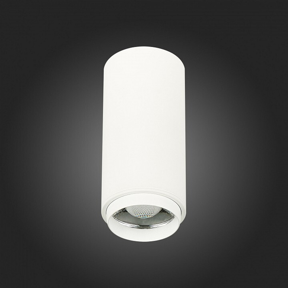 Накладной светильник ST-Luce ST600.532.10