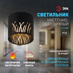 Светильник настенно-потолочный спот ЭРА OL54 BK под лампу GX53 черный IP20